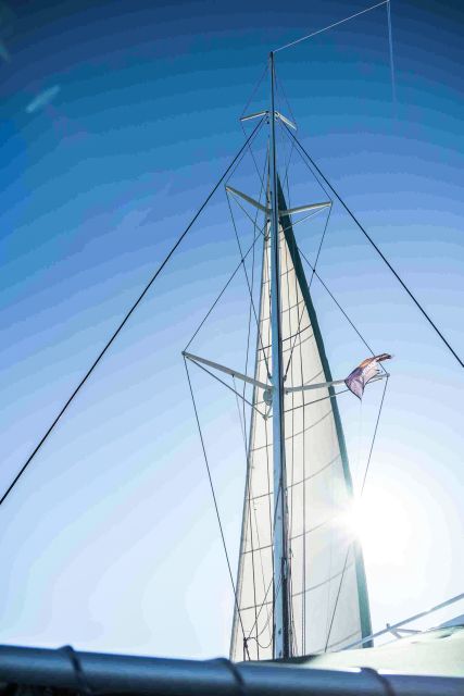 Valencia: Sailing Catamaran with Swimming & Optional DJ - Price and value: why $25 can work well here