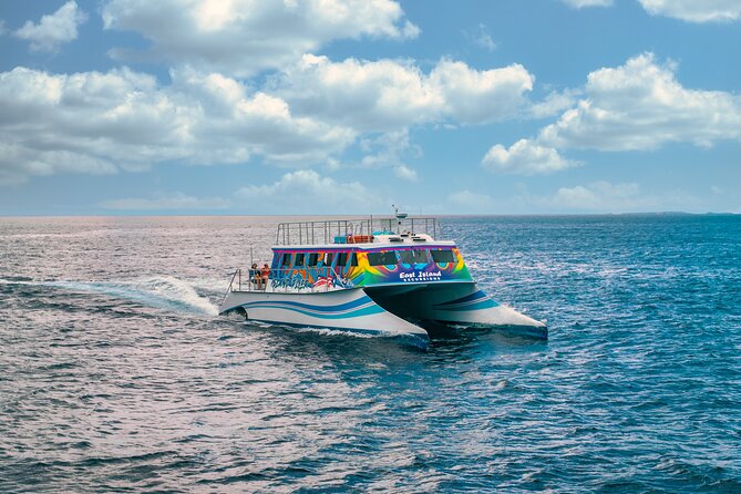 Vieques: Beach and Snorkeling Tour by Catamaran from Fajardo - Your main stop: Vieques beaches and the real beach hours