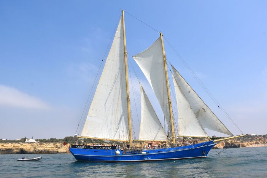 Vilamoura: Algarve Coast 3-Hour Sailing Cruise With Open Bar - Dolphins and the wind factor: how to enjoy the “maybe” moments