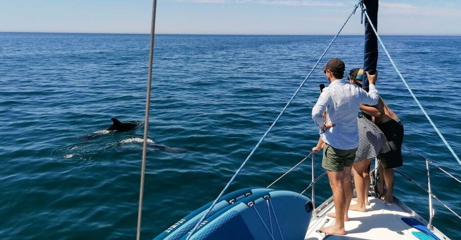 Vilamoura: Coastal Cruise on a Luxury Sailing Yacht - The Coastline Route: Vilamoura, Albufeira, and the Beaches You’ll Pass