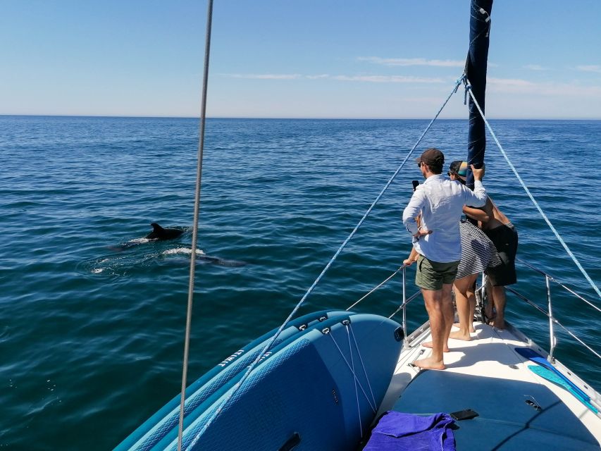 Vilamoura: Coastal Cruise on a Luxury Sailing Yacht - The Chance to Swim (And How to Make It Comfortable)