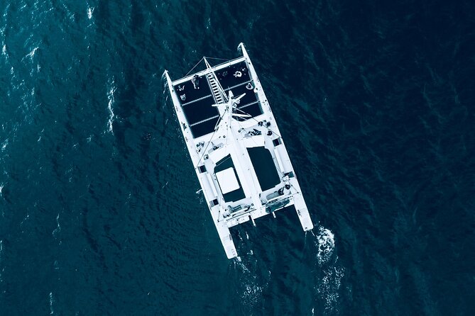 VIP Catamaran 4 hour Activity with Snorkeling in Bulgaria - Key things that make this VIP catamaran day work