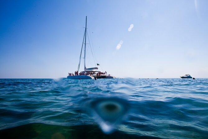 VIP Catamaran 4 hour Activity with Snorkeling in Bulgaria - Dolphins and sea life: realistic expectations without killing the fun