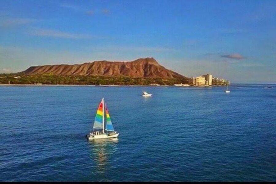 Waikiki Beach: Turtle Snorkeling and Sailing on Hāwea - The wildlife you’ll likely see (and how to spot it)