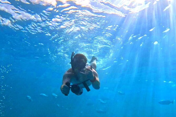 Waikiki Catamaran Escape: Snorkel with Turtles & Water Sports Fun - Wildlife Odds: turtles first, dolphins and whales in season