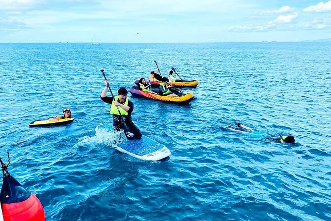 Waikiki Catamaran Escape: Snorkel with Turtles & Water Sports Fun - Who this tour fits best (and who might want a different plan)