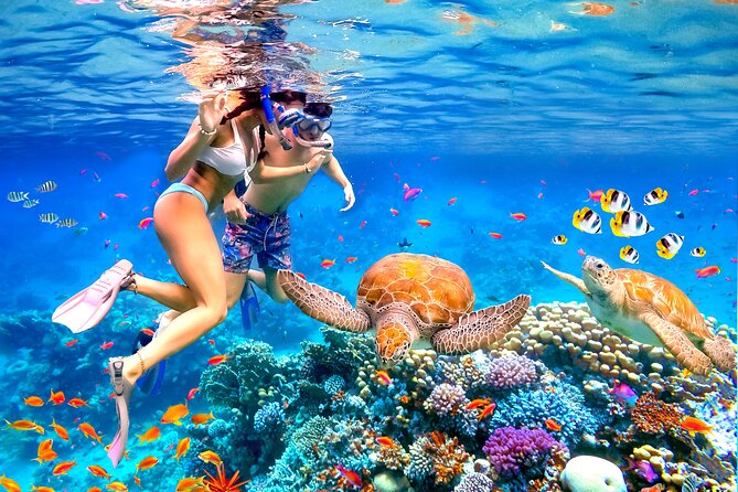 Waikiki Catamaran Escape: Snorkel with Turtles & Water Sports Fun - The 6-in-1 Turtle Snorkel Experience in Waikiki Waters