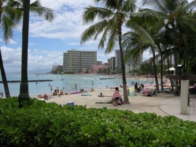 Waikiki Catamaran Snorkel Sail with Lunch: Turtles Guaranteed - The snorkeling moment: what it’s like when the guide takes over