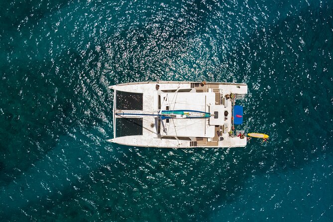 Waikiki Catamaran Snorkel Sail with Lunch: Turtles Guaranteed - Wildlife chances: turtles, dolphins, and winter whales