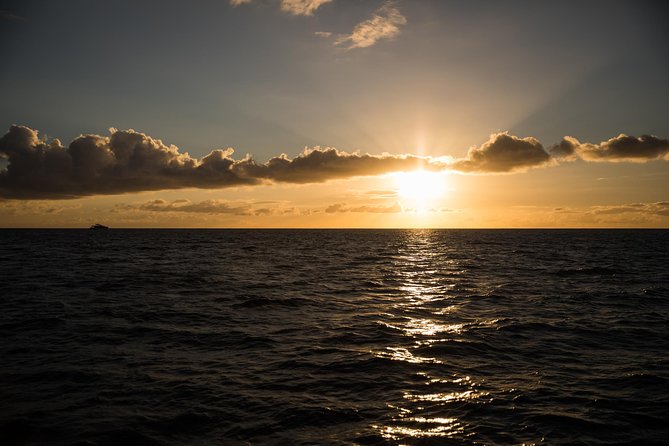 Waikiki Fireworks Dinner Cruise: Sail & Sparkle on Friday Nights - Price and value: is $139 per person a smart spend?