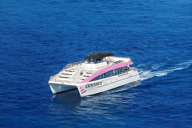 Waikiki: Friday Night Fireworks Catamaran Cruise - Drinks, Snacks, Music, and the Vibe on Board