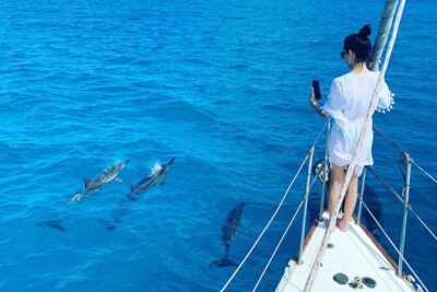 Waikiki small group turtle snorkeling & sailing - Your route on the water: sailing out, Turtle Canyon, then fish time