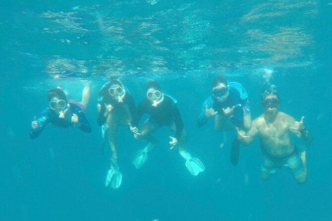 Waikiki small group turtle snorkeling & sailing - How the 2-hour timing actually works for your vacation
