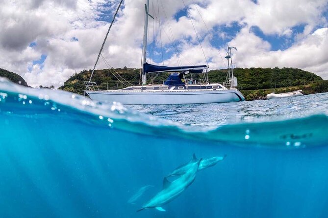 Waikiki small group turtle snorkeling & sailing - Price and value: what $99 buys you in real terms