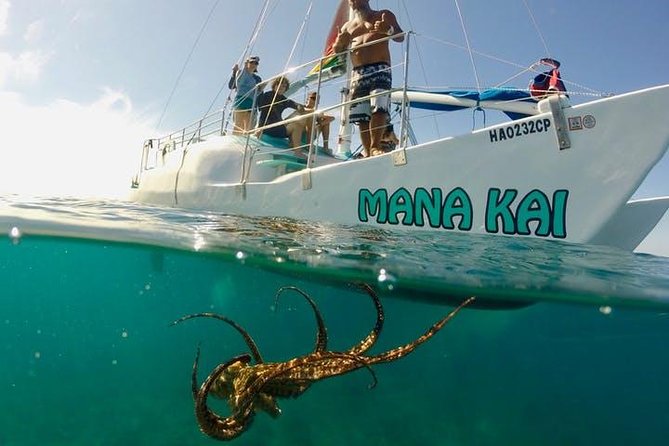 Waikiki Turtle Snorkel and Sail on Hawea Catamaran - Getting Onboard: From Duke Paoa Kahanamoku to Hawea