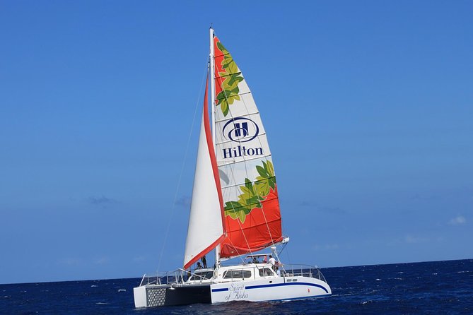 Waikoloa Signature Catamaran Sunset Sail - Live commentary that makes the horizon easier to read