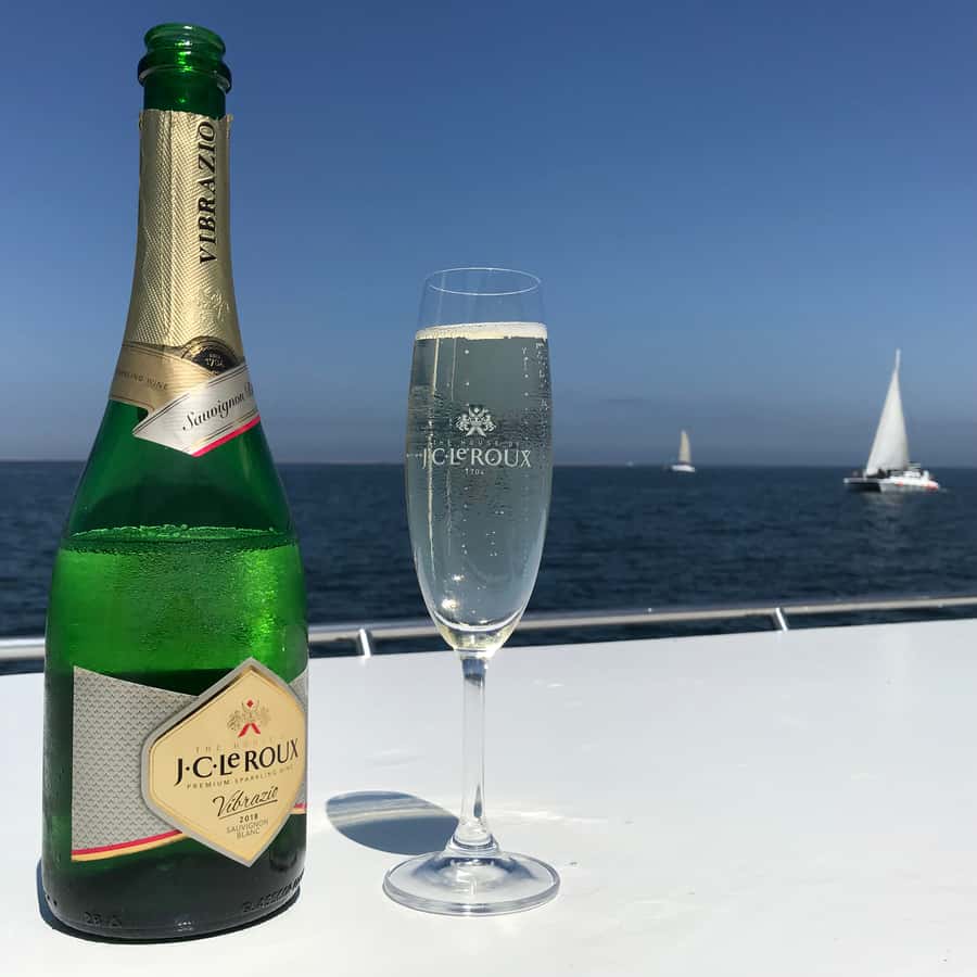 Walvis Bay: Marine Big 5 Luxury Catamaran Tour - Guides and crew: how the spotting game stays fun