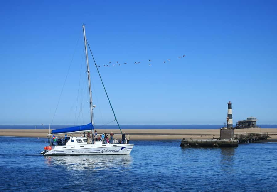 Walvis Bay: Marine Big 5 Luxury Catamaran Tour - Should you book this Walvis Bay Big 5 catamaran tour?