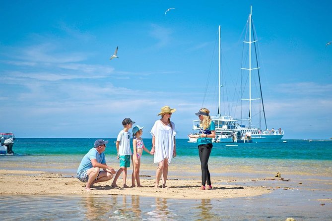 Wavedancer Low Isles Great Barrier Reef Sailing Cruise - Low Isles on Foot: Guided beach walk and why it’s not just strolling
