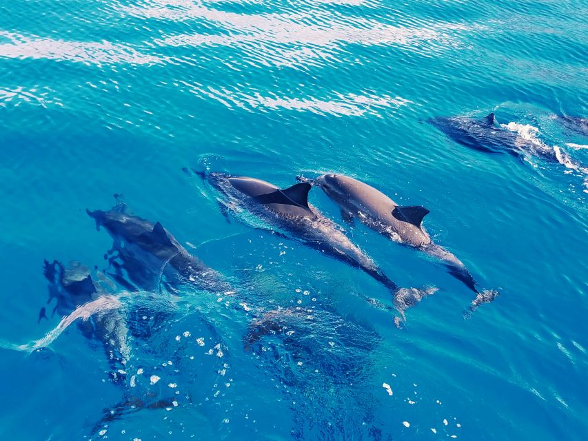 West O'ahu: Swim with Dolphins Catamaran Cruise - Waianae Mountain views on the way back: the calm payoff