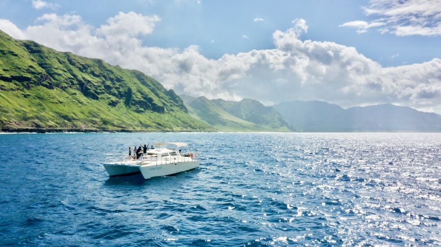 West O'ahu: Swim with Dolphins Catamaran Cruise - Morning logistics: getting on the boat without losing your sanity