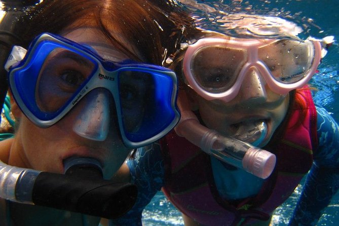 West Oahu Afternoon Turtle Snorkel Sail - Who this tour suits best (and who should think twice)