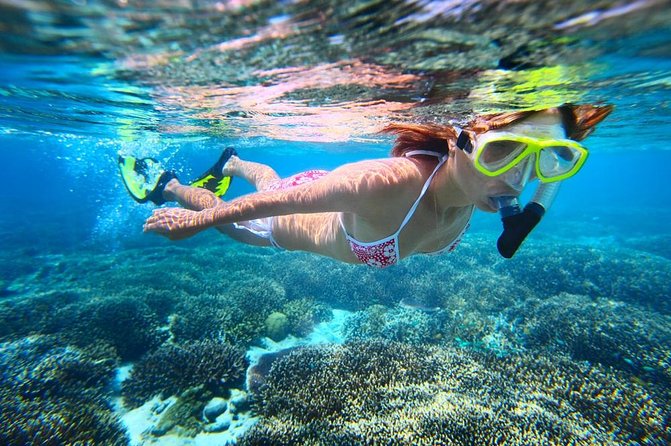 West Oahu Dolphin Watch and Snorkel Sail with Lunch - Crew, Boat Ride Vibe, and Real-World Comfort