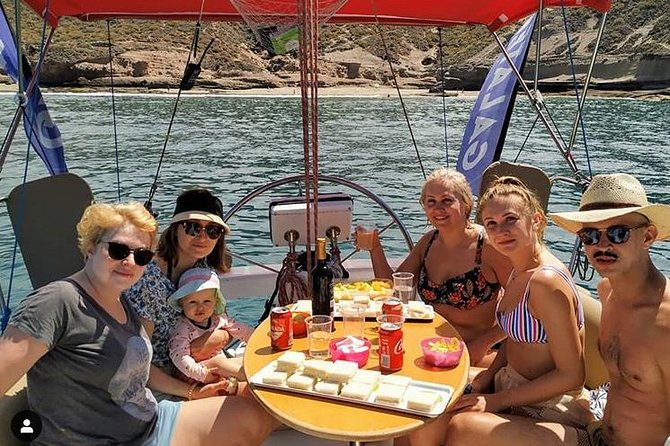 Whale and Dolphin Small Group Sailing from Tenerife South - Key highlights worth planning around