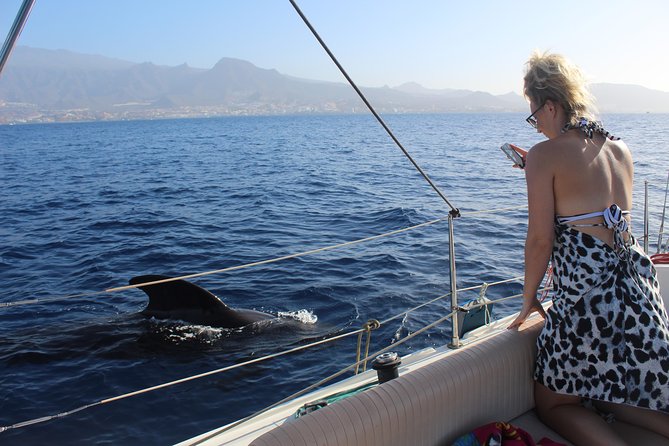 Whale and Dolphin Small Group Sailing from Tenerife South - Crew, boat size, and the 3-hour plan you can actually use