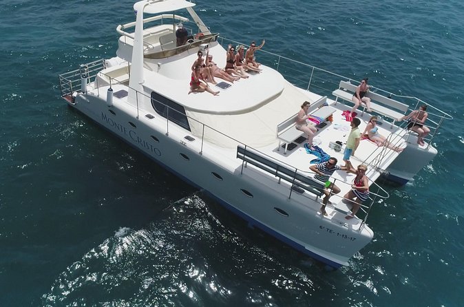 Whale and Dolphin Watching Catamaran with Transfer and Buffet - What to expect if dolphins show up (and what if they don’t)