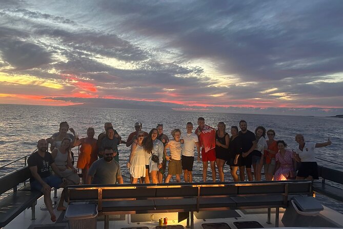 Whale and Dolphin Watching Catamaran with Transfer and Buffet - Price check: what $71.35 really buys you here