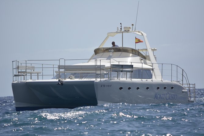 Whale and Dolphin Watching Catamaran with Transfer and Buffet - Getting to Puerto Colón without turning your trip into a logistics project