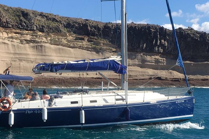 Whale and Dolphin Watching Sailing Boat with Drinks, Snacks and Swimming Time - The swimming and snorkeling stop: what’s included and what to expect