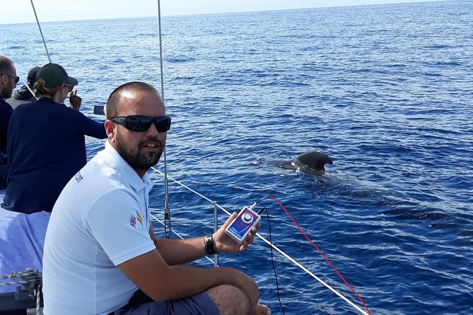 Whale and Dolphin Watching Sailing Boat with Drinks, Snacks and Swimming Time - Drinks, snacks, and lunch: where the value really shows