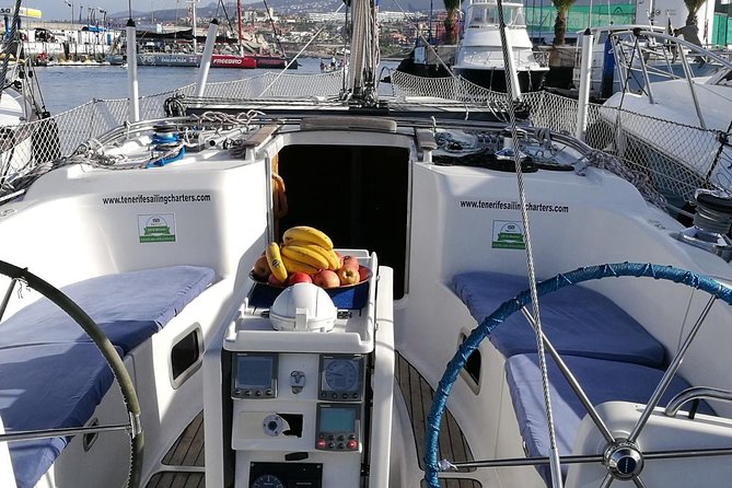Whale and Dolphin Watching Sailing Boat with Drinks, Snacks and Swimming Time - Timing and sea conditions: the part that can change everything