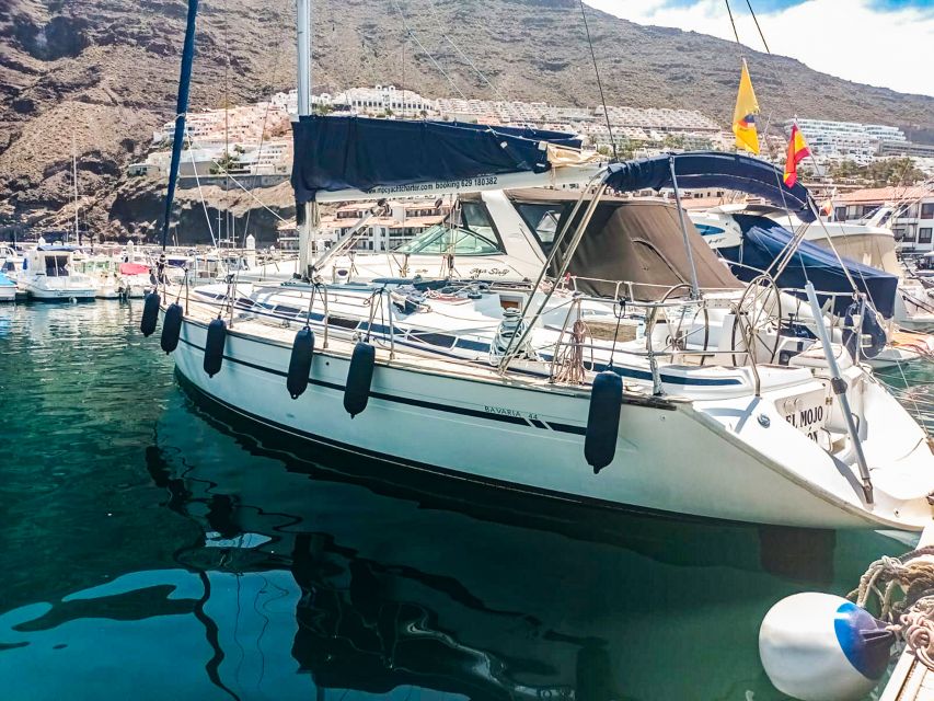 Whale and Dolphin Watching Sailing Tour – Los Gigantes (3H) - Price and value: is $76 per person fair for this setup?