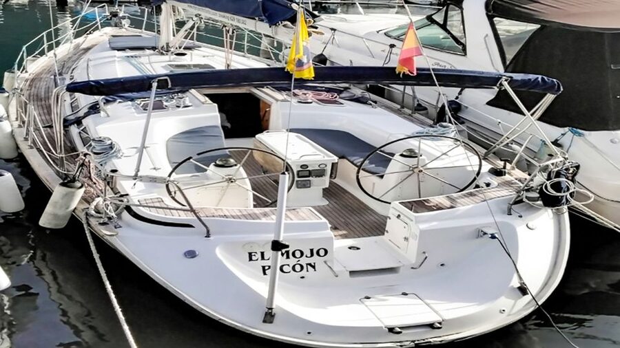 Whale and Dolphin Watching Sailing Tour – Los Gigantes (3H) - The natural cove swim and snorkel stop (clear water, real gear)
