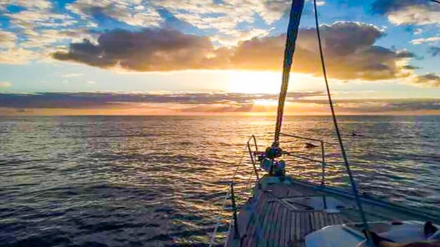 Whale and Dolphin Watching Sailing Tour – Los Gigantes (3H) - Food and drinks: Spanish-style snacks that actually help on the water