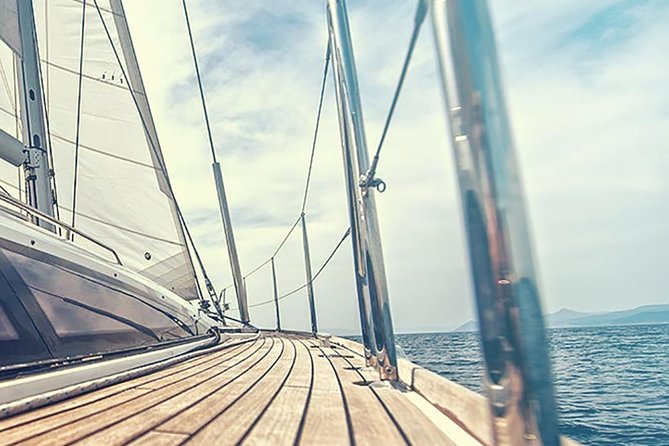 Whale and Dolphin Watching Yacht Trip in Puerto Colon - Seasickness, choppiness, and comfort tips that actually help