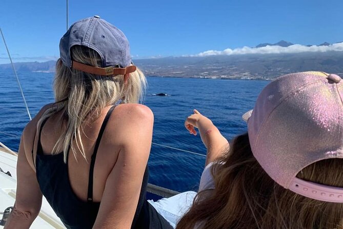Whale and Dolphin Watching Yacht Trip in Puerto Colon - Price and value: is $62.56 reasonable for 3 hours?