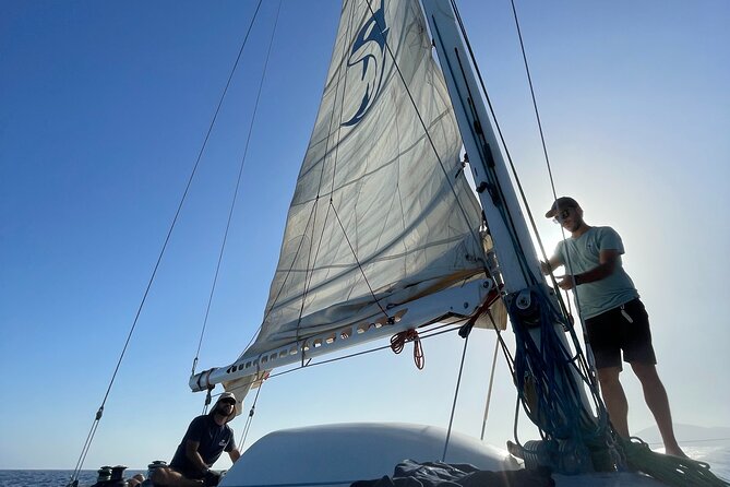 Whale & Dolphin Observation on Silent Catamaran with Hydrophone - Weather, Wind, and What to Wear for a Cold Sea Breeze