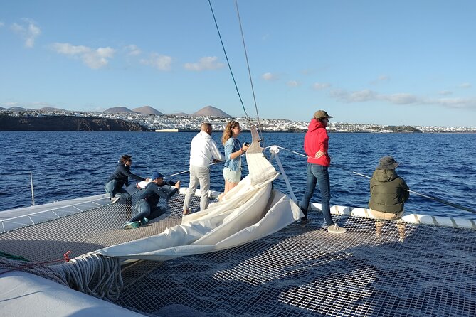 Whale & Dolphin Observation on Silent Catamaran with Hydrophone - Conservation Angle: Why WeWhale Matters Here