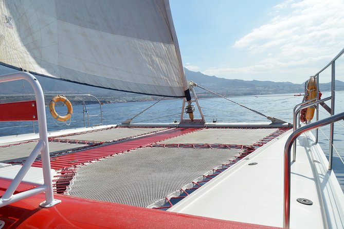Whale Watching and Listening Eco Catamaran Tour with Food Tasting - Key Highlights You’ll Care About