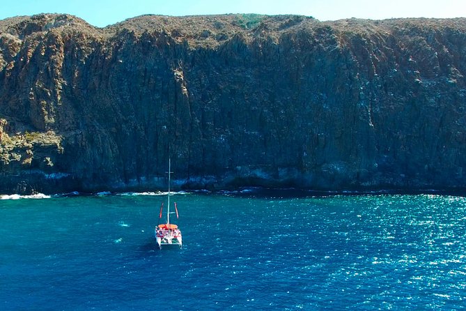 Whale Watching and Listening Eco Catamaran Tour with Food Tasting - Wildlife Watching Done the “Respect First” Way