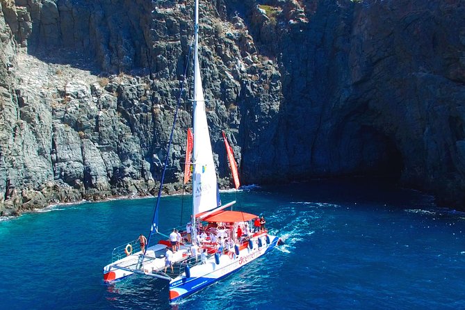 Whale Watching and Listening Eco Catamaran Tour with Food Tasting - Comfort, Capacity, and What to Bring