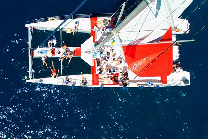 Whale Watching and Listening Eco Catamaran Tour with Food Tasting - When the Ocean Changes the Plan (And Why That Still Works)
