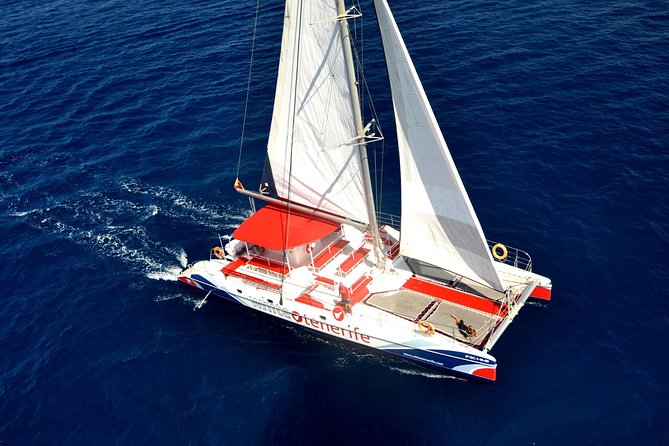 Whale watching and listening Eco-Catamaran Tour with Food Tasting - Getting to Puerto Colón and finding your spot on board