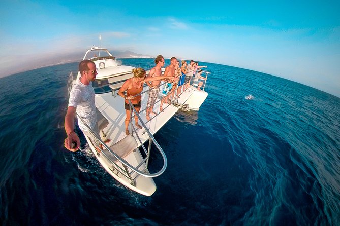 Whale Watching Catamaran Cruise with Transfer, Buffet by MC - Key Things That Make This Trip Worth Your Time