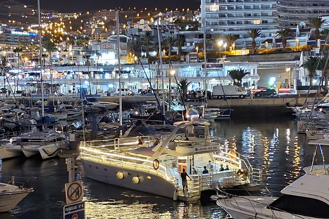 Whale Watching Catamaran Cruise with Transfer, Buffet by MC - What’s Actually Included: Buffet, Drinks, and That Easy Onboard Comfort