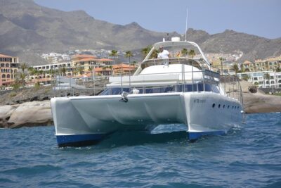 Whale Watching Catamaran Cruise with Transfer, Buffet by MC - The Sail Out: Deck Views, Wildlife Time, and a Captain’s Search